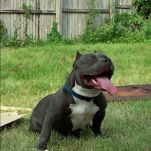 Meet your Posher, Thomas